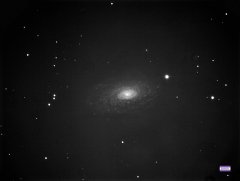 NGC 5055